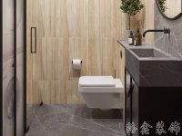 現(xiàn)代清新家居裝修裝飾室內設計效果-E317-6
